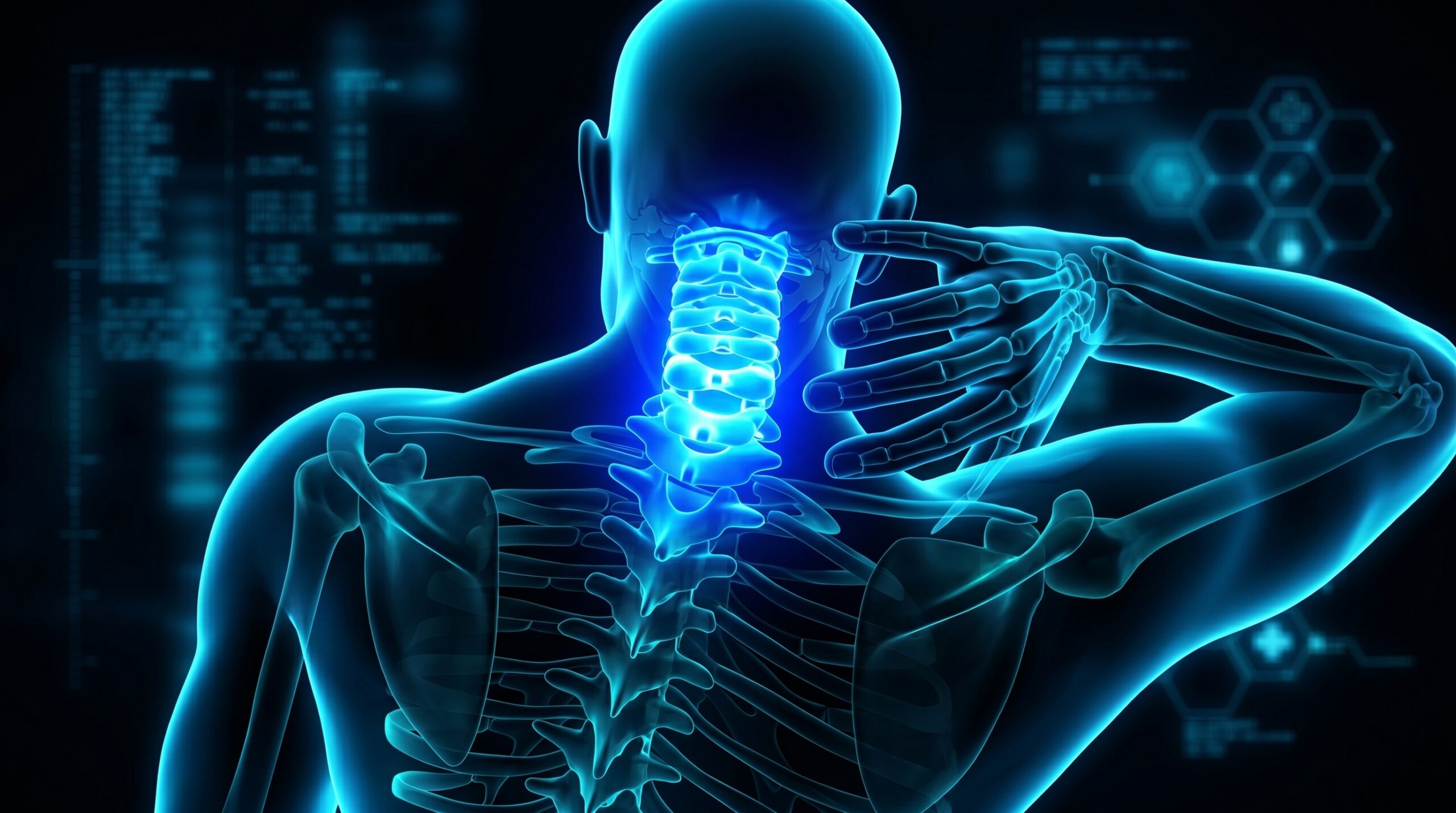 Ilustração da coluna vertebral